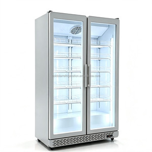 Armoires de présentation et congélateurs à boissons à double porte entièrement vitrées, durables et économes en énergie, pour la vente en gros - Product Image 5