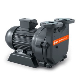 Bomba de Vacío de Anillo Líquido Busch DOLPHIN LX 0110 0180 C, Motor Trifásico, Cuerpo de Hierro Fundido, Alimentación Eléctrica - Product Image 1