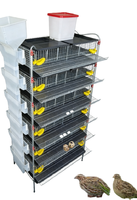 Cages d'élevage de cailles en acier inoxydable de type H, écologiques pour une gestion et une productivité agricoles efficaces