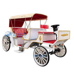 Carrosse de Victoria électrique pour le tourisme et les mariages, transport spécial, prix usine, à vendre - Product Image 1