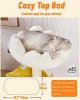 Arbre à chat multi-niveaux en forme de nuage pour intérieur, avec poteaux à gratter en sisal, perchoir panoramique, coussins lavables et jouet suspendu