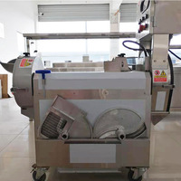 Multifunctionele machine voor het snijden, raspen en in blokjes snijden van fruit en bladgroenten voor groenteverwerkingsbedrijven, hoge capaciteit