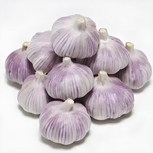 <span class=keywords><strong>Ail</strong></span> blanc frais pur ou ordinaire, ainsi que des légumes frais, vendus en gros depuis la Chine pour l'exportation. - Product Image 1