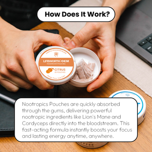 LIFEWORTH kantong dukungan kognitif-campuran revitalisasi untuk fokus berkelanjutan & kinerja Mental-Label pribadi tersedia - Product Image 3