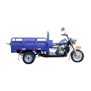 มอเตอร์ไซค์สามล้อ150cc/200ซีซี250cc - Product Image 4