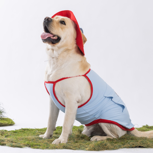 Pakaian pendingin hewan peliharaan, rompi anjing <span class=keywords><strong>Anti</strong></span> kecemasan dan jaket nyaman bersirkulasi panas & dingin - Product Image 6