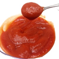 Vente en gros prix d'usine de fabricants chinois Sachet de tomate pâte de tomate