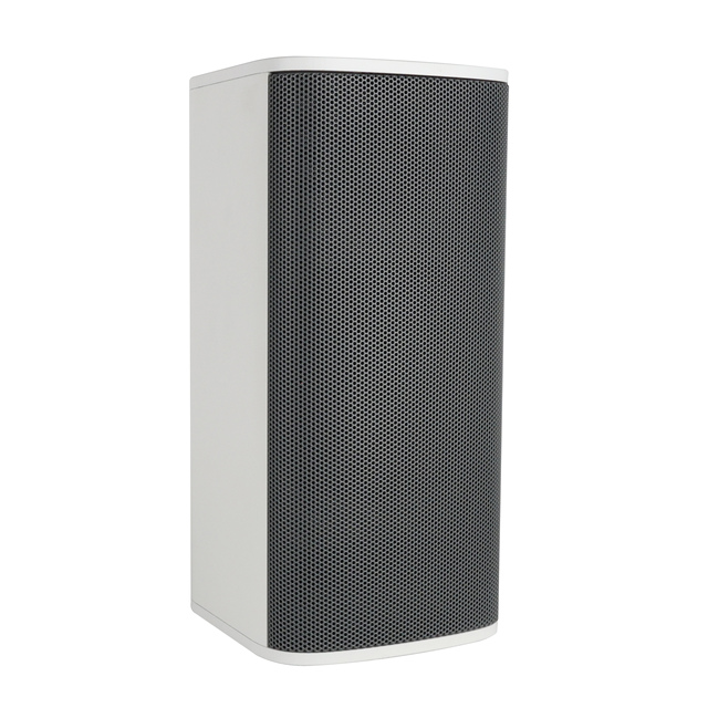 2 Way High Performance Column Speaker 50W 200W Peak 8Ohm Beryllium Dome Tweeter Aerospace Magnet Woofer for Indoor Venues