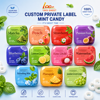 Prix d'usine Bonbons menthes personnalisés emballés dans une boîte en fer blanc Sans sucre Menthe fraîche Haleine Tablette Bonbons Citron Pastèque Saveur