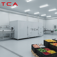 Machine de surgélation rapide automatique TCA pour la transformation de poissons, fruits, légumes, filets, crevettes, poitrines de poulet et produits carnés