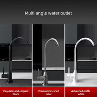 Cuisine moderne en acier inoxydable 304 minimaliste assorti avec purificateur d'eau robinet noir or acier inoxydable brossé couleur