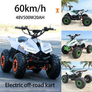 Kart <span class=keywords><strong>électrique</strong></span> tout-terrain 48V 500W 20AH pour plage, montagne et route, vitesse maximale de 60 km/h, capacité de charge de 200 kg - Product Image 1