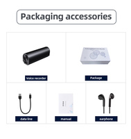 고품질 Q73 미니 음성 녹음기 WAV 포맷, 긴 대기 시간, USB 연결, 강의 및 회의용 음성 활성화 기능 탑재