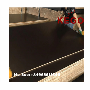 Contrachapado de Primera Clase con Revestimiento de Película y Superficie de Melamina con Logotipo Personalizado E2 Elm, Solo 19 USD/Pieza para Uso en Exteriores - Product Image 1