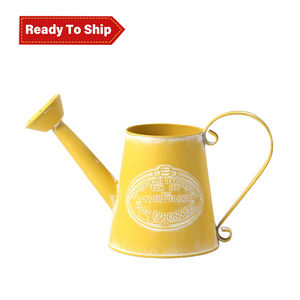 धातु पानी कर सकते हैं छिड़काव केतली आधुनिक यूरोप शैली बहु रंग सामग्री मूल लोहे कंटेनर पैकिंग/giftpacking - Product Image 2