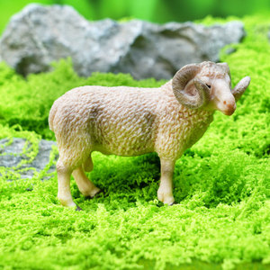 Modelli di animali selvatici in PVC per l'export: Giocattoli e ornamenti per l'allevamento di leoni, elefanti, struzzi, mucche, pecore, cavalli, asini e ornitoriotti - Product Image 4