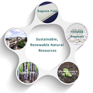 Assiette de bagasse de canne à sucre écologique en gros Assiette alimentaire ronde Assiettes biodégradables pour la fête - Product Image 3