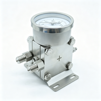 1. Manomètre de pression différentielle haute pression à diaphragme en acier inoxydable 316L, revêtement personnalisé, filetage sur mesure, IP65 IP66 pour milieux liquides et gazeux