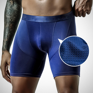 CELINNE High Quality Sports Men Underwear Separated Pouch Mens Comfortable Sports Fitness Ice Silk Quick Dry Long Leg Men <b>Boxer</b> - Product Image 1