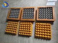 Nouvelle machine à mouler des barquettes à œufs en ABS avec boîte à œufs en aluminium pour utilisation en restauration, dotée de composants principaux tels que le moteur à engrenages à roulement PLC