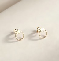 Boucles d'oreilles étoile en acier inoxydable, bijoux anti-ternissement plaqués or 18 carats, hypoallergéniques, boucles d'oreilles circulaires
