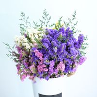 Flores Secas de Pampas Naturales Azules al por Mayor, Ecológicas, Duraderas, Decoración para el Hogar, Bodas, Navidad, Pascua