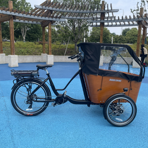 Équilibre balançoire marchandises enfants transporteur <span class=keywords><strong>cargo</strong></span> tricycle longue famille e-<span class=keywords><strong>cargo</strong></span> vélo trois roues <span class=keywords><strong>danois</strong></span> électrique <span class=keywords><strong>cargo</strong></span> tricycle vélo - Product Image 3