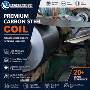 Stamping SAE1006 S355JR Coated Annealed 50mm 600mm Shearing EN 10025 Carbon Steel Coil for Container - Product Image 1