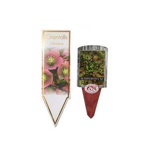 Etichette istruttive per la coltivazione di semi impermeabili progettate con più fiori etichetta stampata personalizzata - Product Image 3