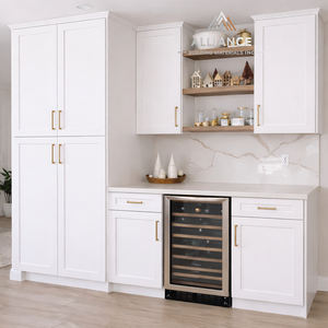 Gabinetes de Almacenamiento Contemporáneos Americanos para Sótanos, para Constructores |   Suministro al por Mayor y Personalizado |   Gabinetes de almacenamiento duraderos para sótanos - Product Image 1