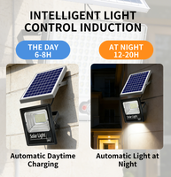 Projecteur solaire LED étanche pour extérieur, lampe de projecteur LED, éclairage d'extérieur
