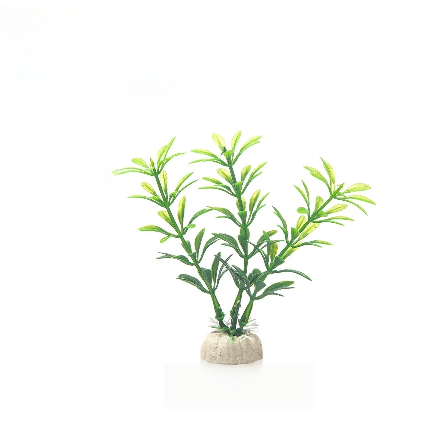 03 Vert