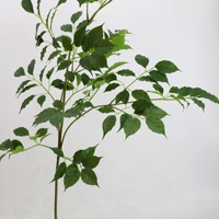 Feuillage artificiel ultra-réaliste en plastique, style forêt, pour arrangement floral, feuille de mûrier et branche de banian ; branche unique