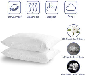 2020 personnalisé véritable doux <span class=keywords><strong>oie</strong></span>/<span class=keywords><strong>plume</strong></span> de canard 100% duvet <span class=keywords><strong>d</strong></span>'<span class=keywords><strong>oie</strong></span> blanc oreillers de lit meilleure vente Inserts personnalisés - Product Image 6