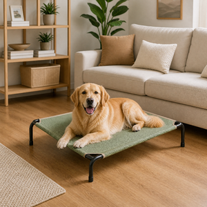 Lit surélevé pour animaux de compagnie ZT, prix usine, pratique, détachable, grand format, avec cadre en acier, portable, pour le camping - Product Image 2