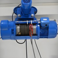Nouveau prix bas, palan électrique à câble triphasé de 10 m, 5 tonnes, télécommande métallique, protection IP55, garantie 1 an