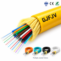Câble à fibres optiques multiconducteurs intérieur GJFJV G652D G657A1 G657A2 OM3 OM4 pour centre de données et réseau de salle de télécommunications