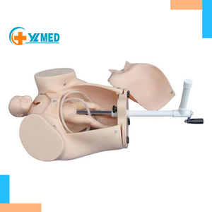 Modèle de Démonstration de <span class=keywords><strong>Cours</strong></span> d'Accouchement et Simulateur de Mannequin d'Obstétrique et de Soins Infirmiers - Product Image 1