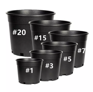 Wholesale Cheap 1 2 3 5 7 10 15 20 Gallon Black Plastic Pot Outdoor Nursery Plant Plastic Pot for Sale
