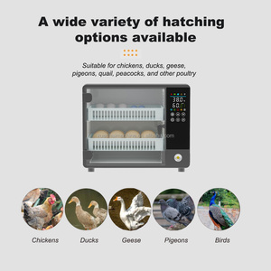 Automatico intelligente Touch a 24 100 di capacità incubatori di uova a rulli di quaglia di pollo macchina da cova per uso domestico AC 220V - Product Image 6