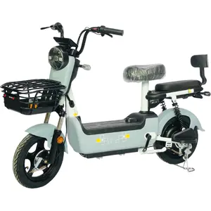 Newest 48V/60V 12ah lithium lead-acid battery 350w 400w motor pedal assist adult rear hub motor electric bike