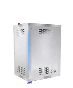 light oil Gas fuel steam boiler for heating natural gas steam generator for cooking