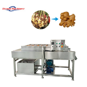 Machine de nettoyage à rouleaux parallèles en acier inoxydable 304 - Convient aux fruits, légumes, fruits de mer et herbes. - Product Image 4