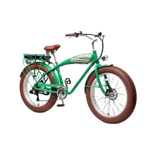 TXED 26 인치 커스텀 전자 자전거 팻 타이어 전기