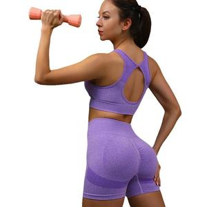 Tùy chỉnh của phụ nữ rỗng trở lại thể thao áo ngực và quần lót bộ thời trang mới liền mạch giản dị Workout Yoga Set. - Product Image 4