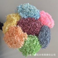Hoogwaardige gedroogde bloemen, grote bladwijde hortensia bloemblaadjes, echte bloemblaadjes, langdurig houdbaar, bruiloftfavoren bloem