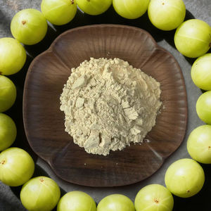 Approvisionnement d'usine Cas 1401-55-4 Extrait de <span class=keywords><strong>fruit</strong></span> d'<span class=keywords><strong>Amla</strong></span> 60% Poudre de tanins - Product Image 5