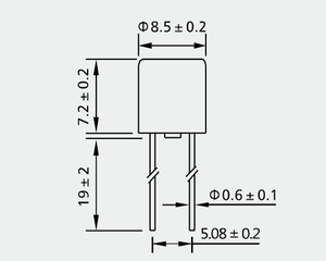Микропредохранитель Lanson 250В с замедленным срабатыванием для электронных компонентов и блоков питания - Product Image 2