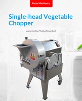 Commerciële, frequentiegestuurde, automatische groentesnijder/slicer met één mes voor het snijden van fruit en bittere groenten in reepjes.