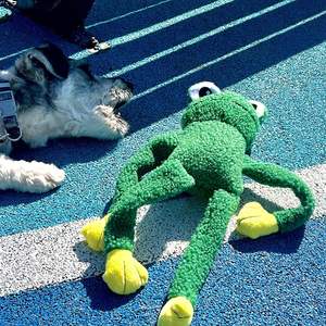 OEM Fabrika Çevre Dostu İnteraktif Kordonlu Evcil Hayvan Oyuncağı Sesli Kedi Köpek Yavrusu Çiğneme Peluş Oyuncak - Product Image 2